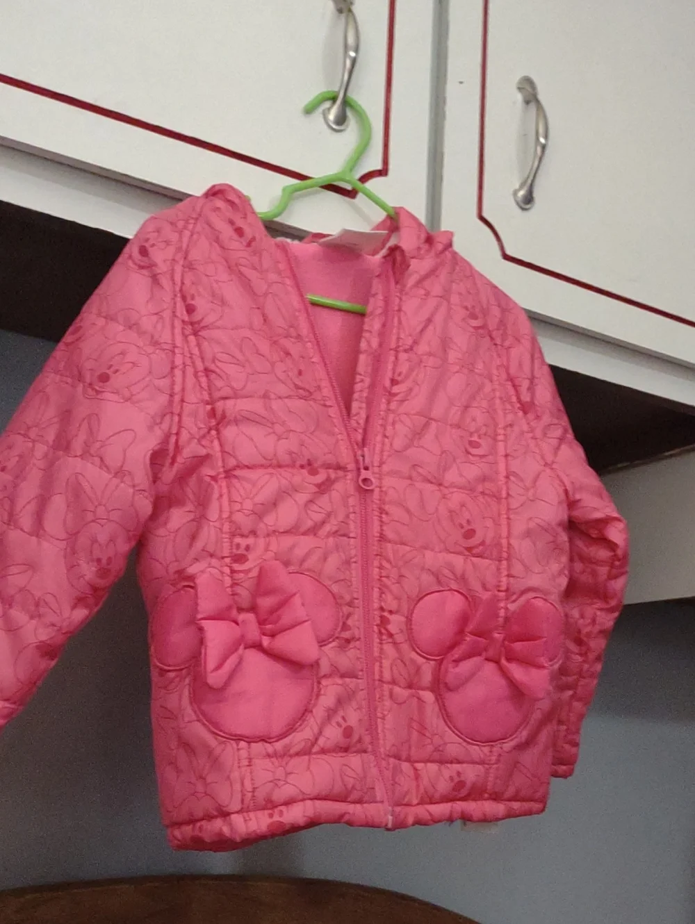 Disney Pink Minnie Hooded Jacket